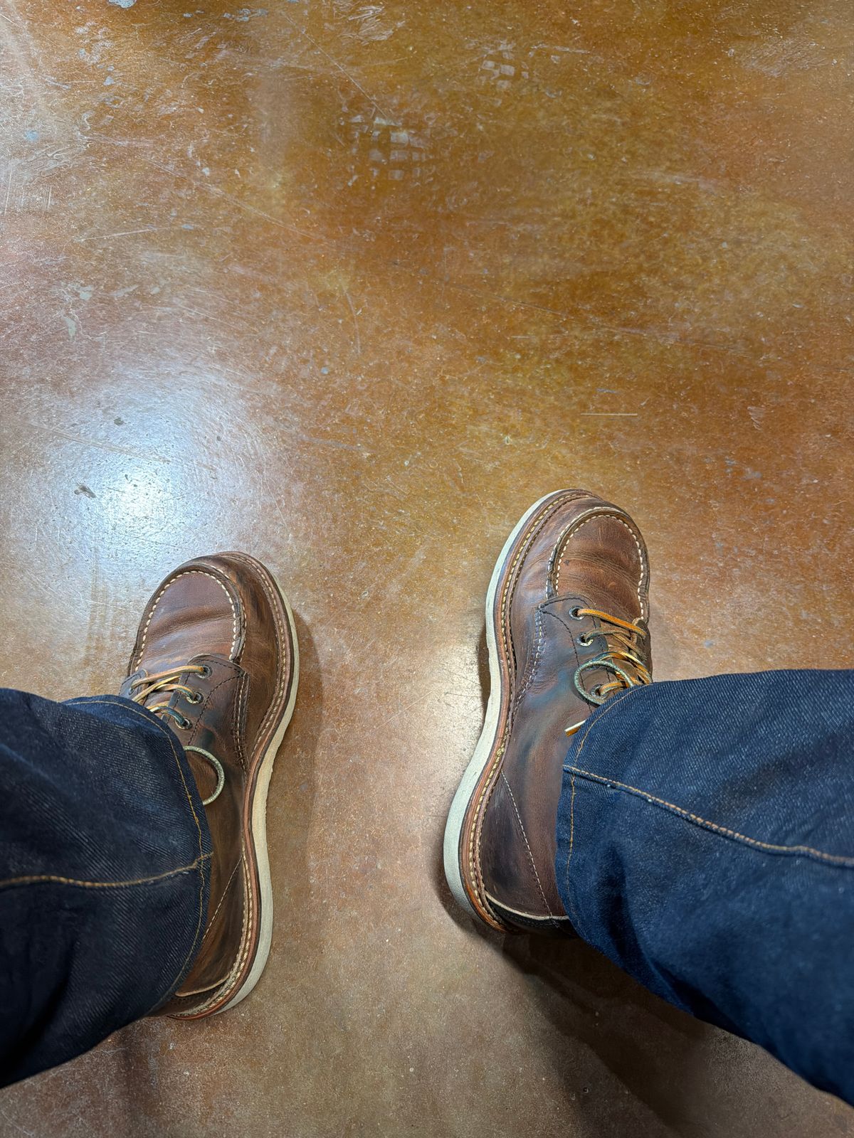 Photo by Txtireguy on July 6, 2026 of the Red Wing 6-Inch Classic Moc in S.B. Foot Copper Rough and Tough.