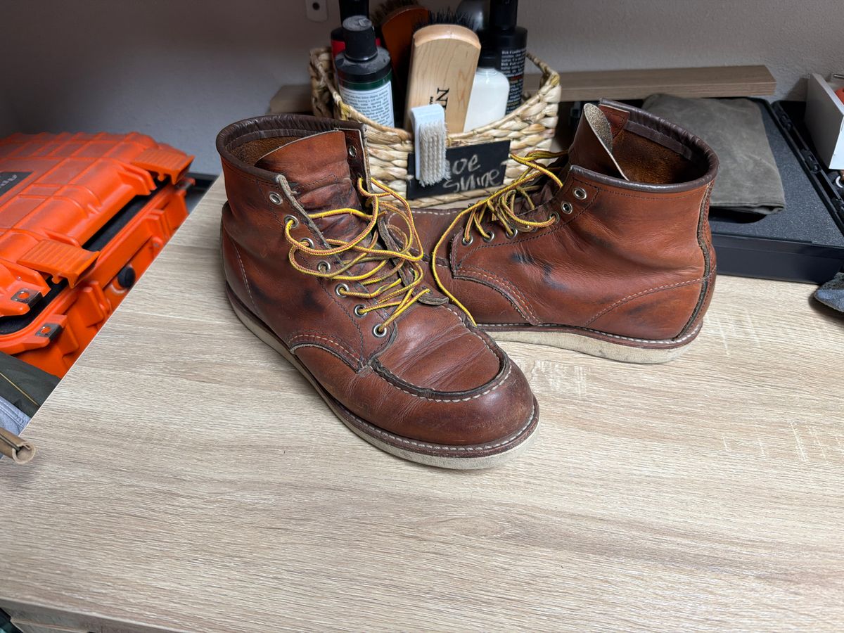 Photo by Txtireguy on July 4, 2026 of the Red Wing 6-Inch Classic Moc in S.B. Foot Oro Legacy.