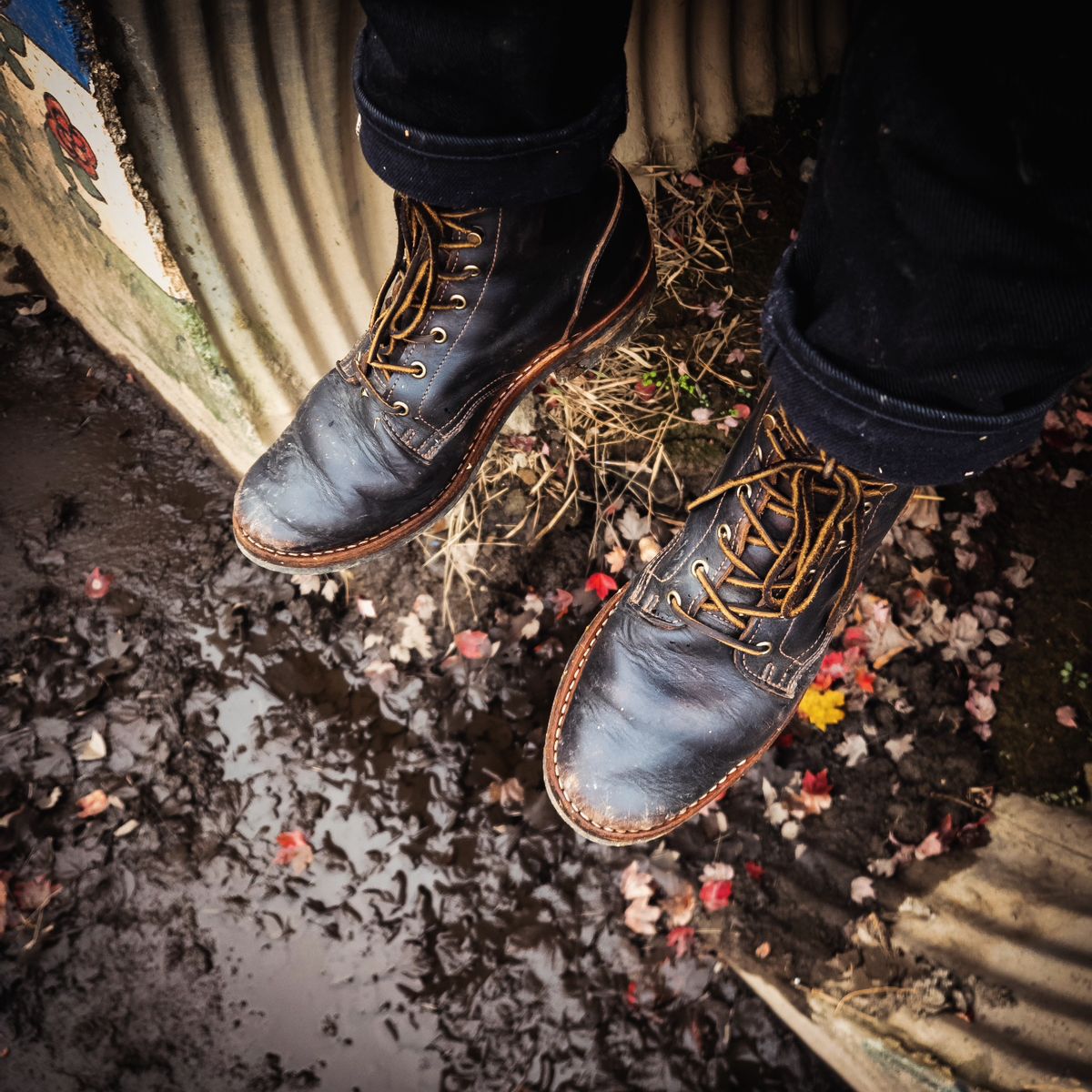 Photo by justinmcgustin on November 28, 2024 of the Truman Plain Toe Boot in Black Teacore.