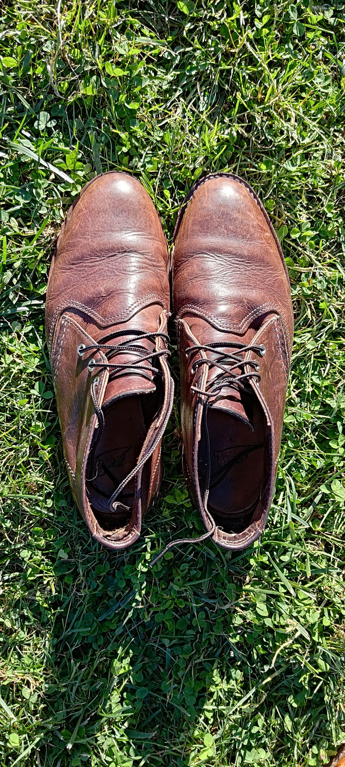 Photo by mitchellvanlee on October 4, 2025 of the Red Wing Work Chukka in S.B. Foot Briar Oil Slick.