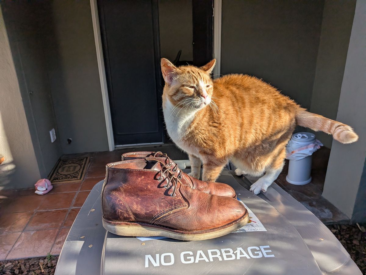 Photo by mitchellvanlee on March 4, 2026 of the Red Wing Work Chukka in S.B. Foot Briar Oil Slick.