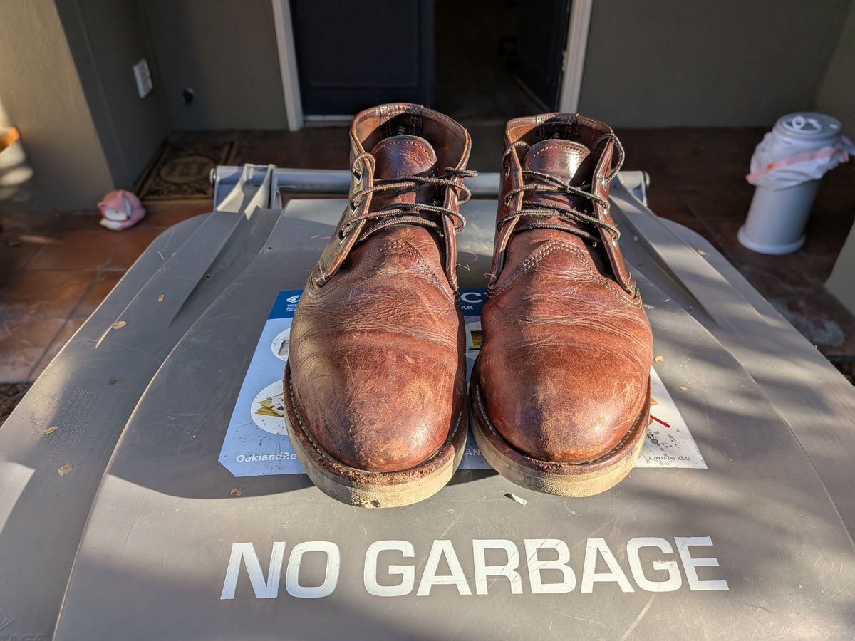 Photo by mitchellvanlee on March 4, 2026 of the Red Wing Work Chukka in S.B. Foot Briar Oil Slick.