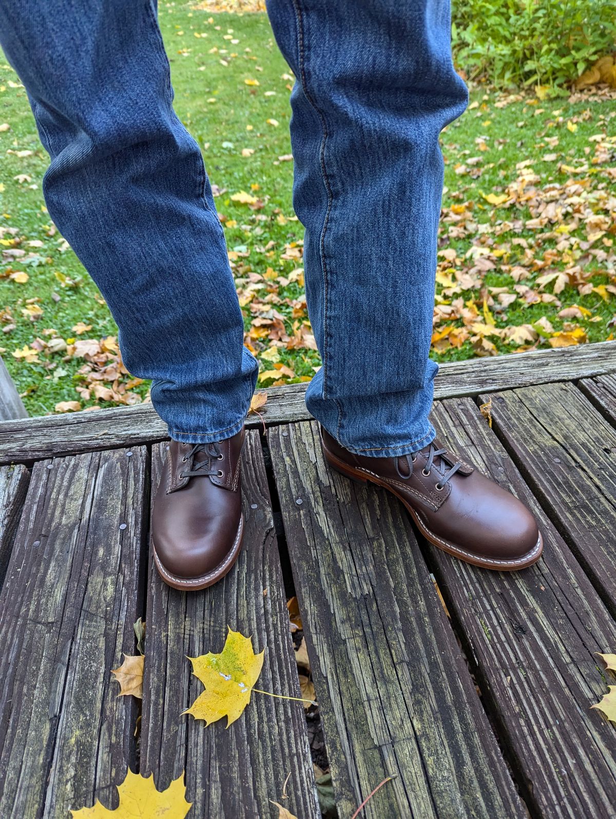 Photo by phil on November 5, 2024 of the Wolverine 1000 Mile Plain-Toe Boot in Horween Carolina Brown Chromexcel.