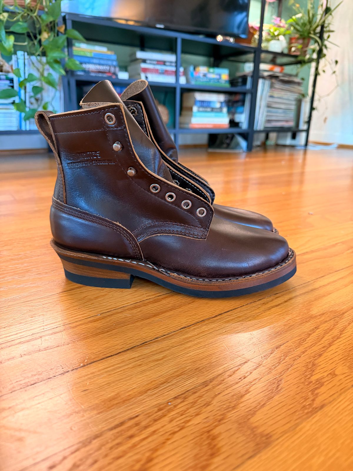 Photo by peanutsngranola on November 26, 2025 of the White's 350 Cruiser in Seidel Brown Double Shot.