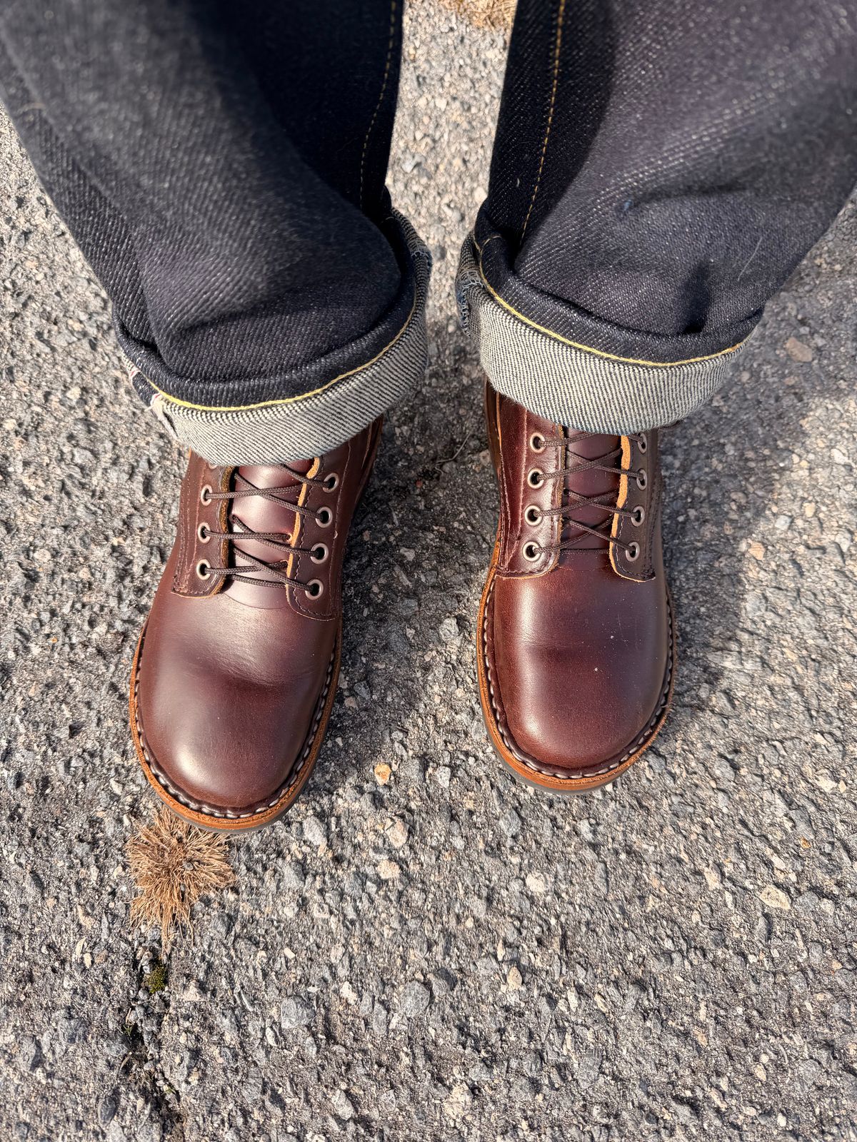 Photo by peanutsngranola on December 19, 2025 of the White's 350 Cruiser in Seidel Brown Double Shot.