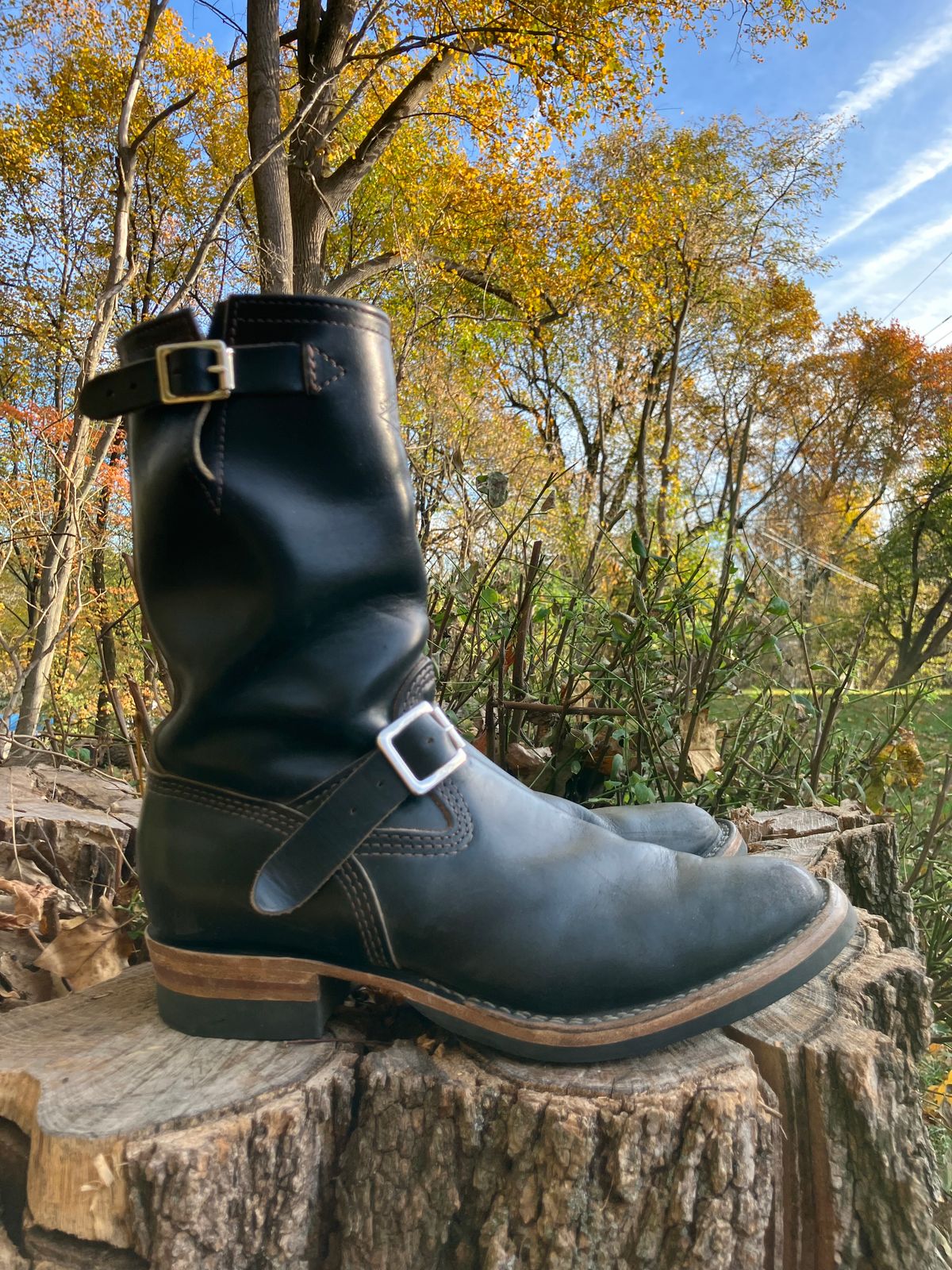 Photo by oldboysblue on November 2, 2024 of the Wesco Mister Lou in Wesco / Horween Black Horsehide.
