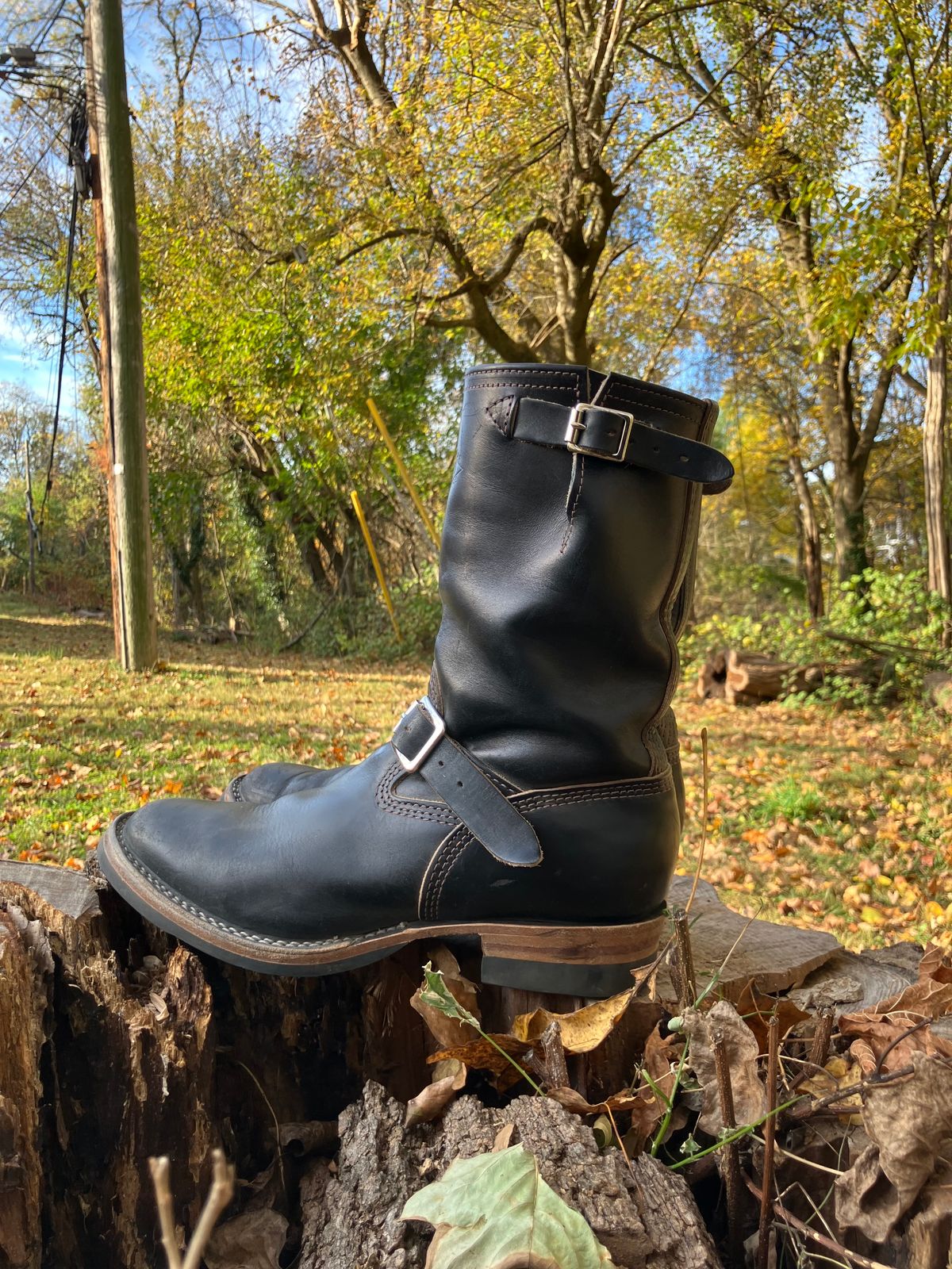 Photo by oldboysblue on November 2, 2024 of the Wesco Mister Lou in Wesco / Horween Black Horsehide.