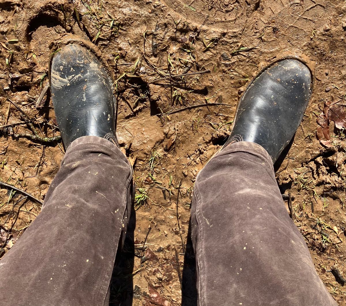 Photo by oldboysblue on February 1, 2025 of the Wesco Mister Lou in Wesco / Horween Black Horsehide.