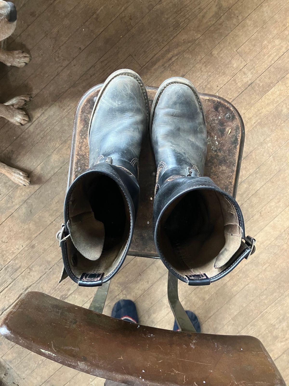 Photo by oldboysblue on February 2, 2025 of the Wesco Mister Lou in Wesco / Horween Black Horsehide.