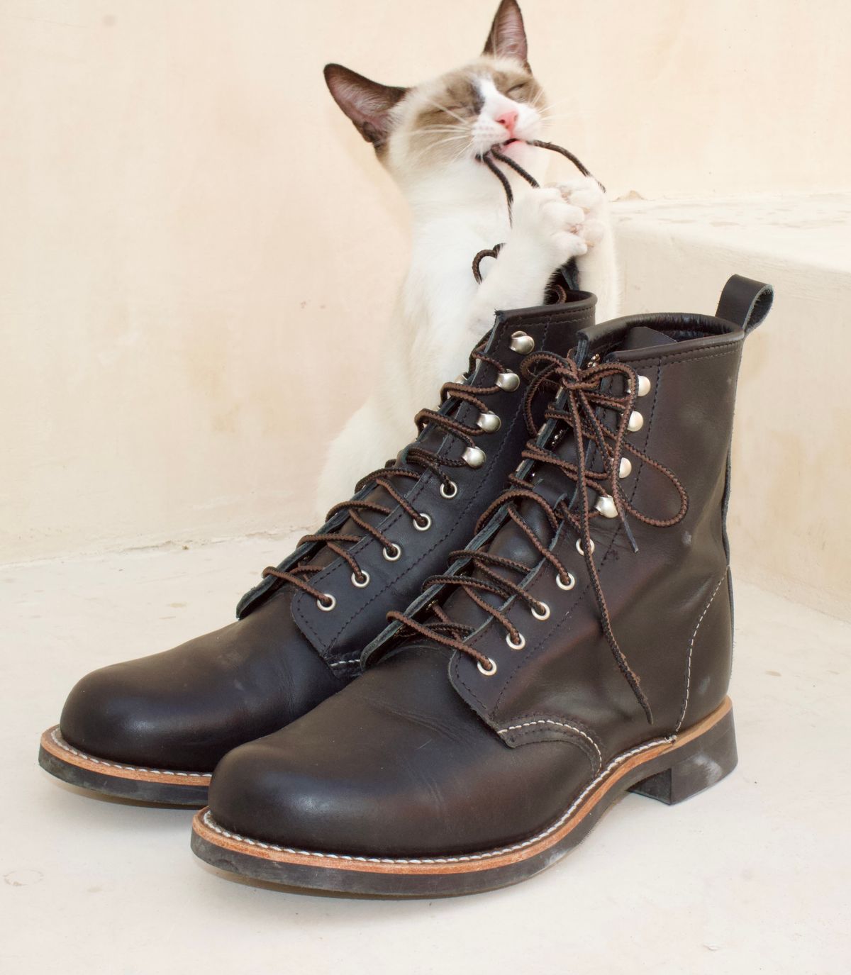 Photo by TangibleLily929Wife on January 2, 2026 of the Redwing Silversmith #3361 in Black Boundary.