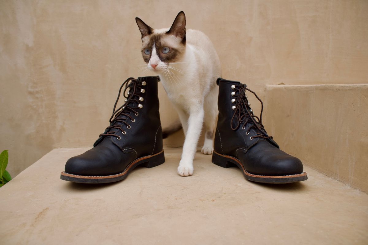 Photo by TangibleLily929Wife on April 2, 2026 of the Redwing Silversmith #3361 in Black Boundary.