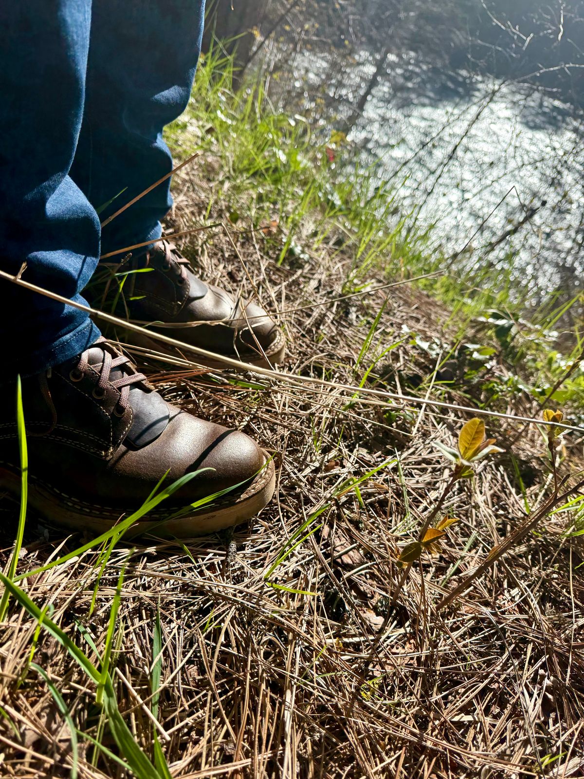 Photo by wayoflife on April 12, 2026 of the White's C350-CS in Horween Cinnamon Waxed Flesh.