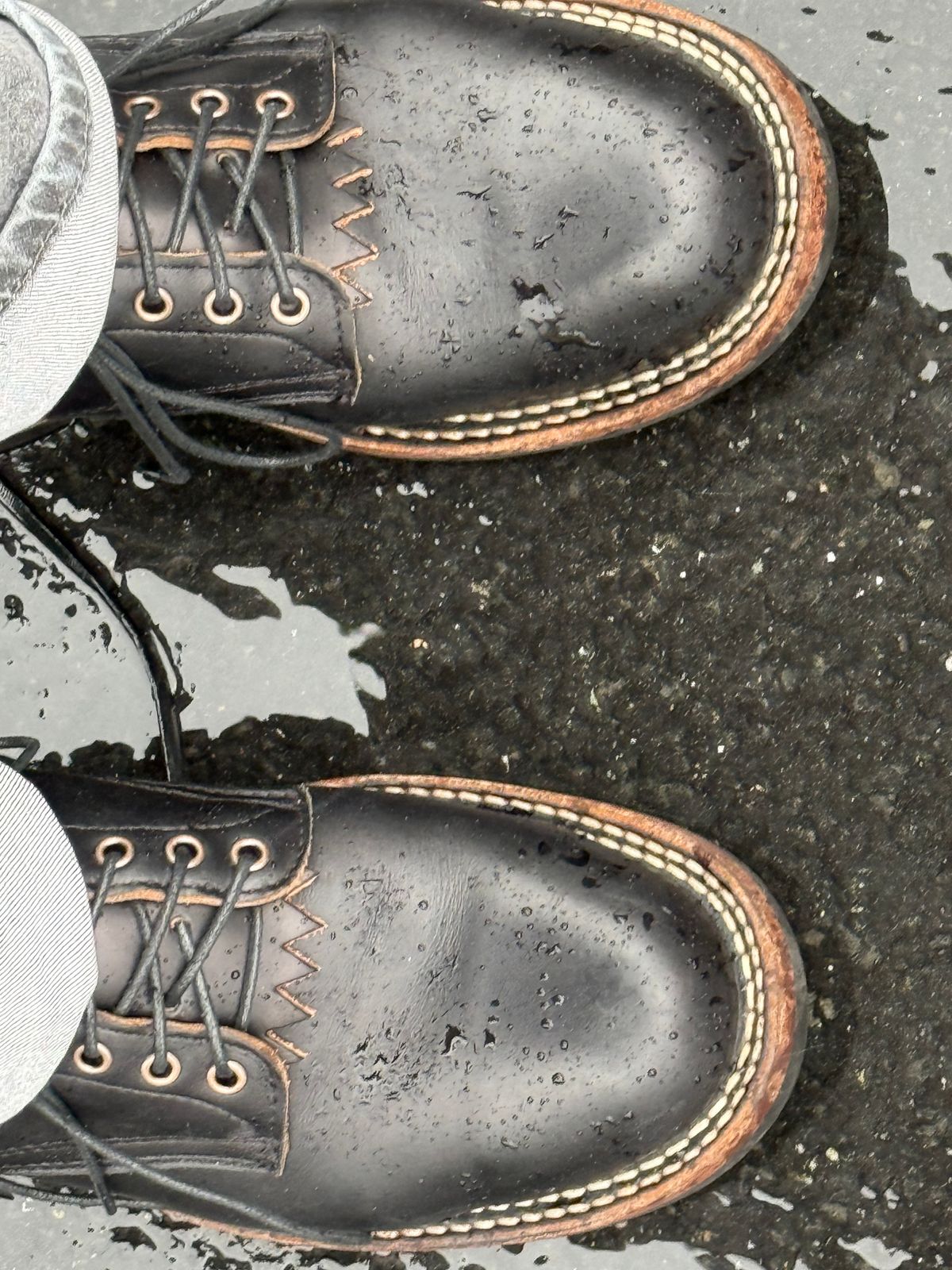 Photo by wayoflife on March 24, 2026 of the White's C350 Cruiser in Horween Black Chromexcel.