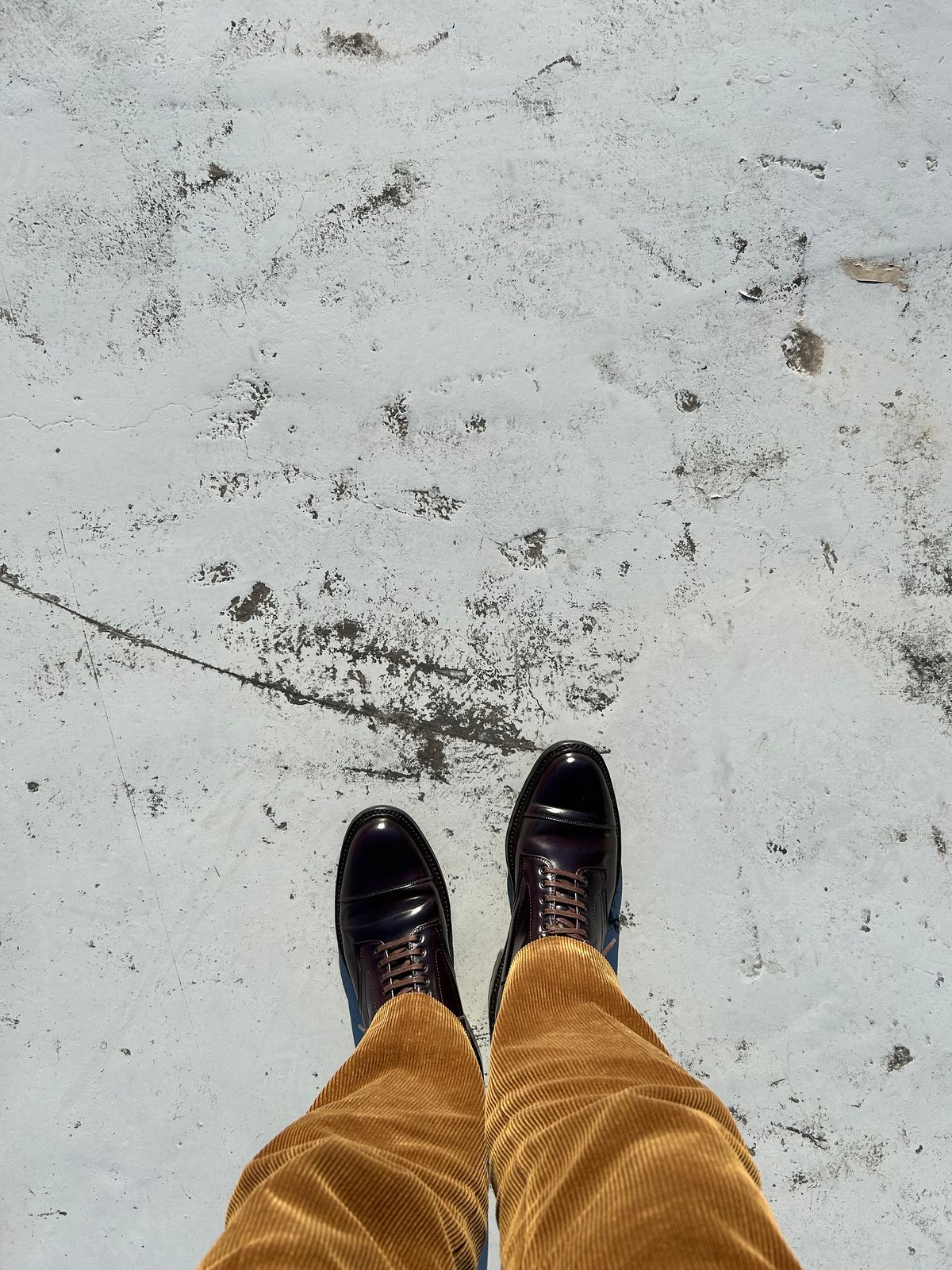 Photo by Patrick_Kwon on November 24, 2023 of the Alden Parajumper Boots in Horween Color 8 Shell Cordovan.