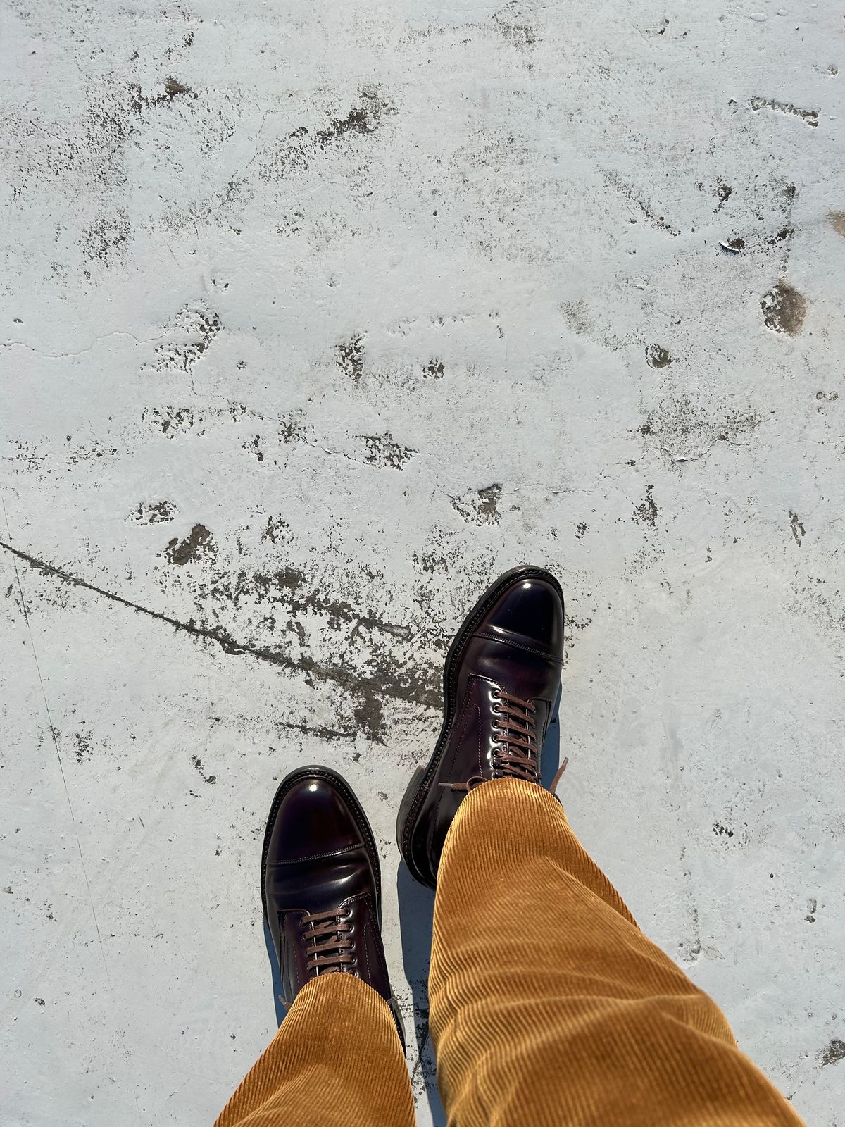 Photo by Patrick_Kwon on November 24, 2023 of the Alden Parajumper Boots in Horween Color 8 Shell Cordovan.