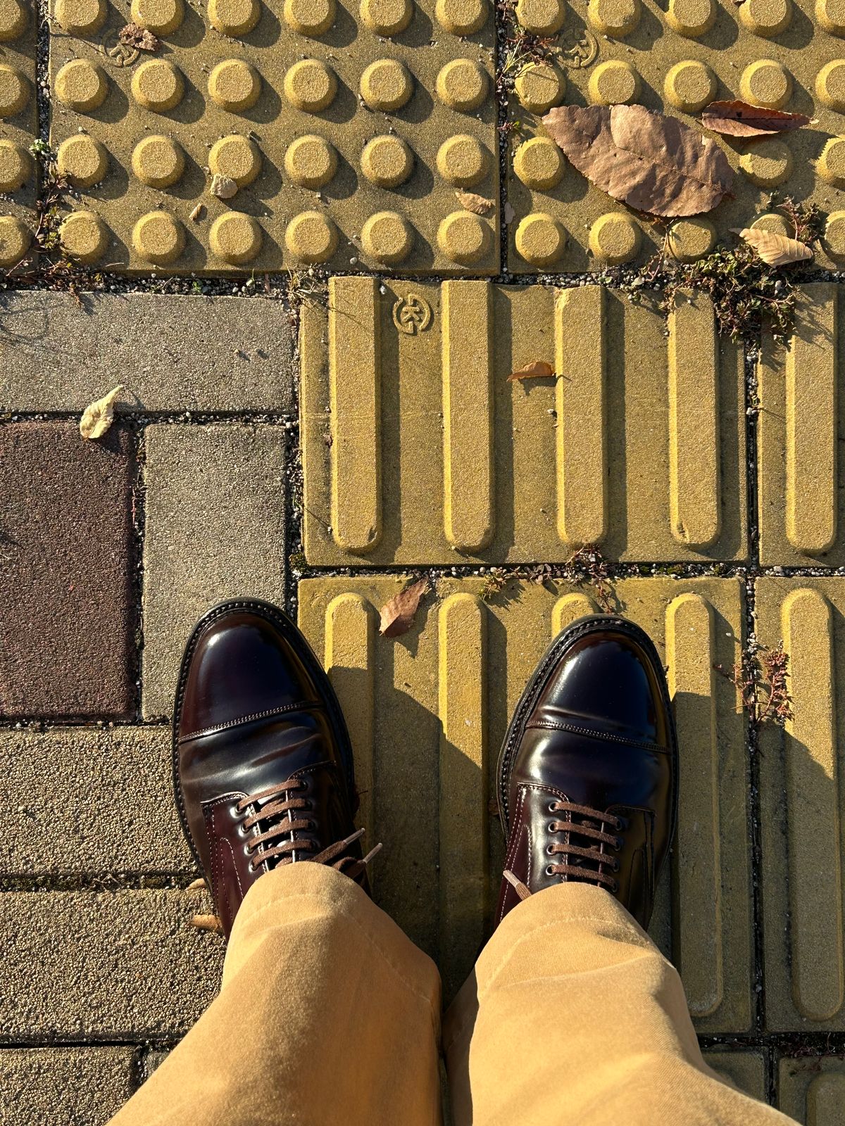 Photo by Patrick_Kwon on November 5, 2024 of the Alden Parajumper Boots in Horween Color 8 Shell Cordovan.