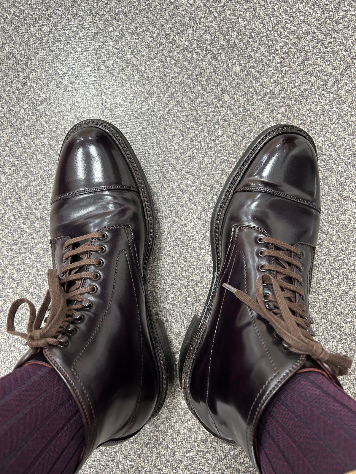 Photo by Patrick_Kwon on November 5, 2024 of the Alden Parajumper Boots in Horween Color 8 Shell Cordovan.