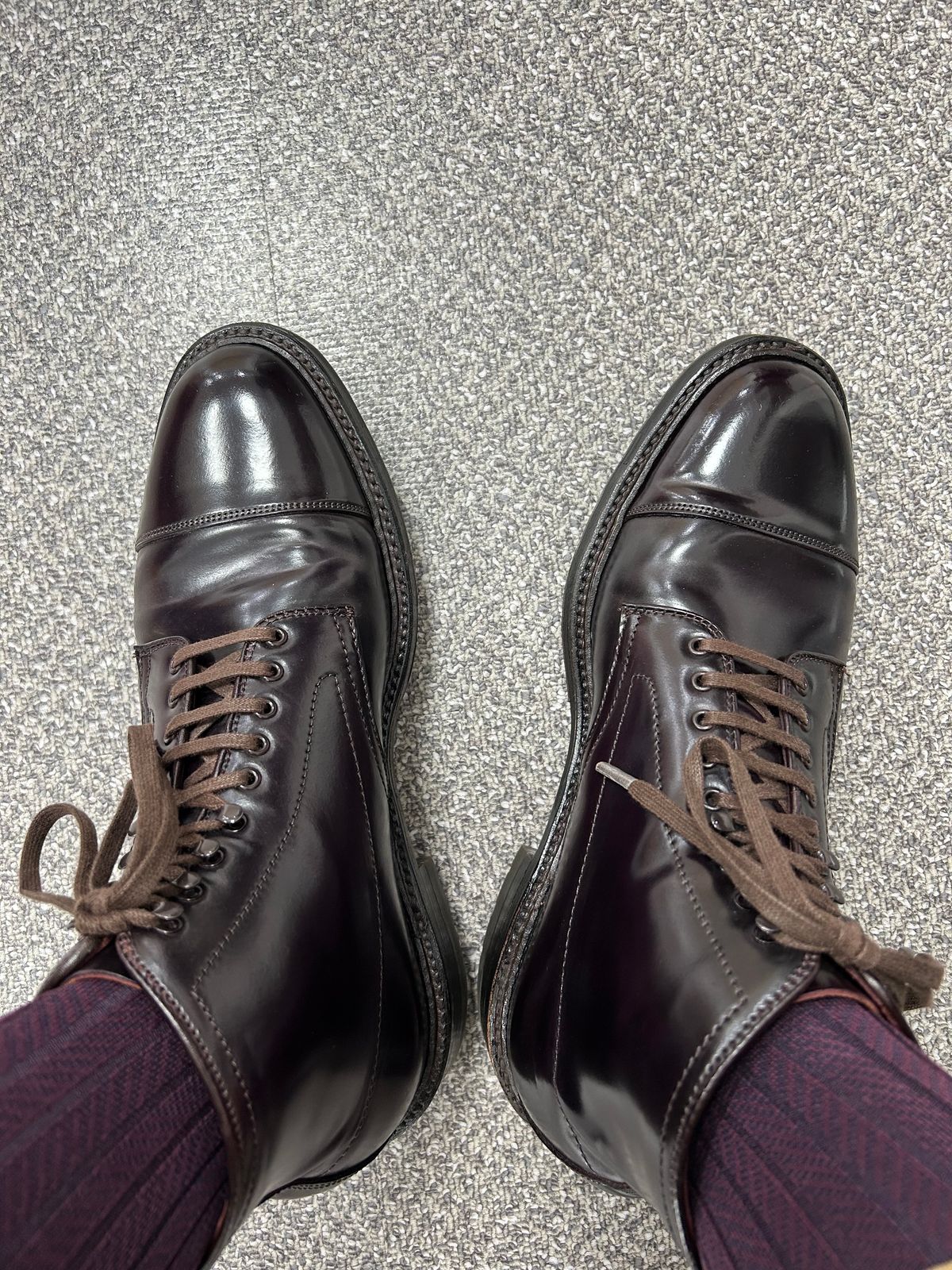 Photo by Patrick_Kwon on November 5, 2024 of the Alden Parajumper Boots in Horween Color 8 Shell Cordovan.
