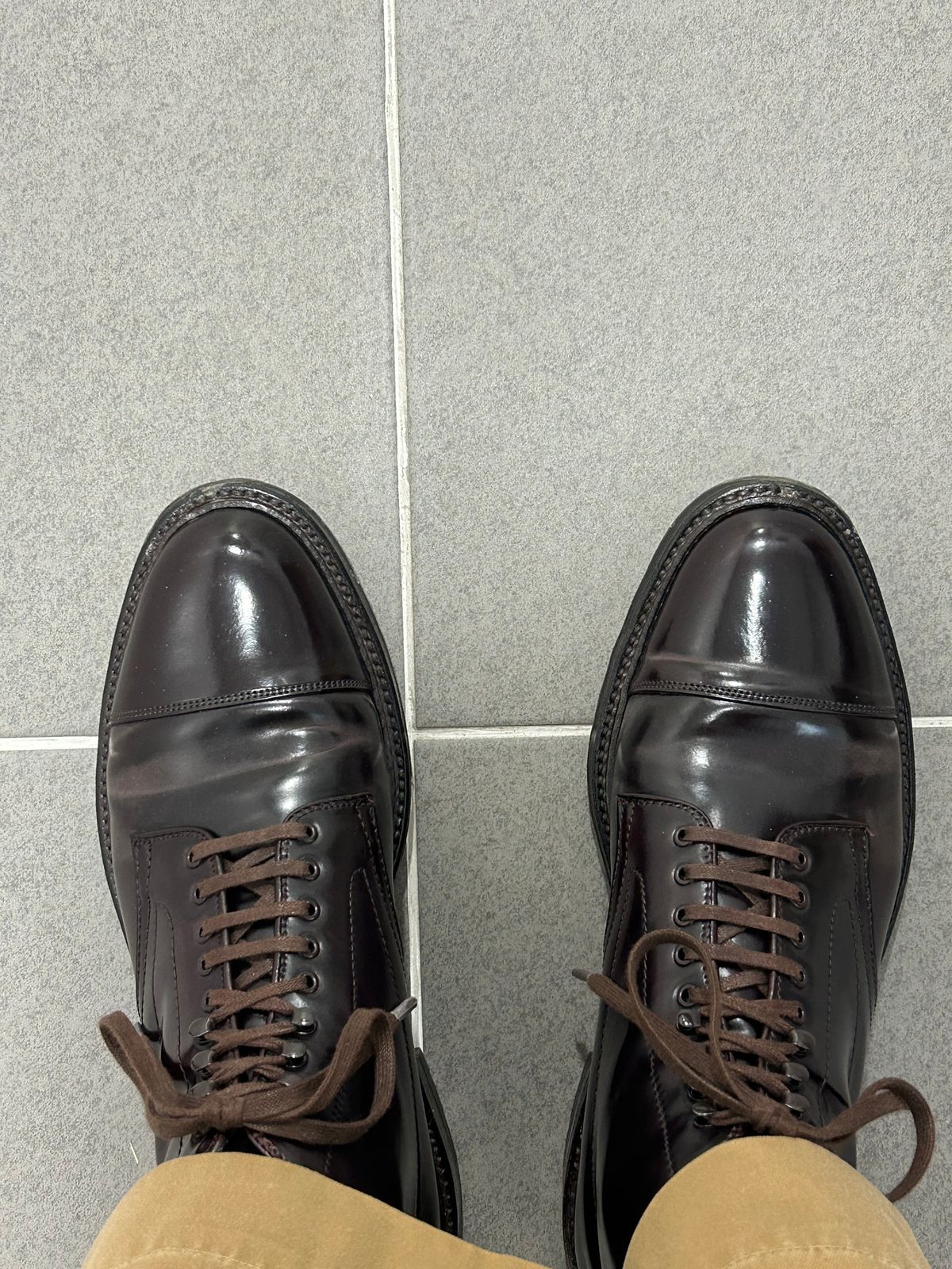 Photo by Patrick_Kwon on December 2, 2024 of the Alden Parajumper Boots in Horween Color 8 Shell Cordovan.