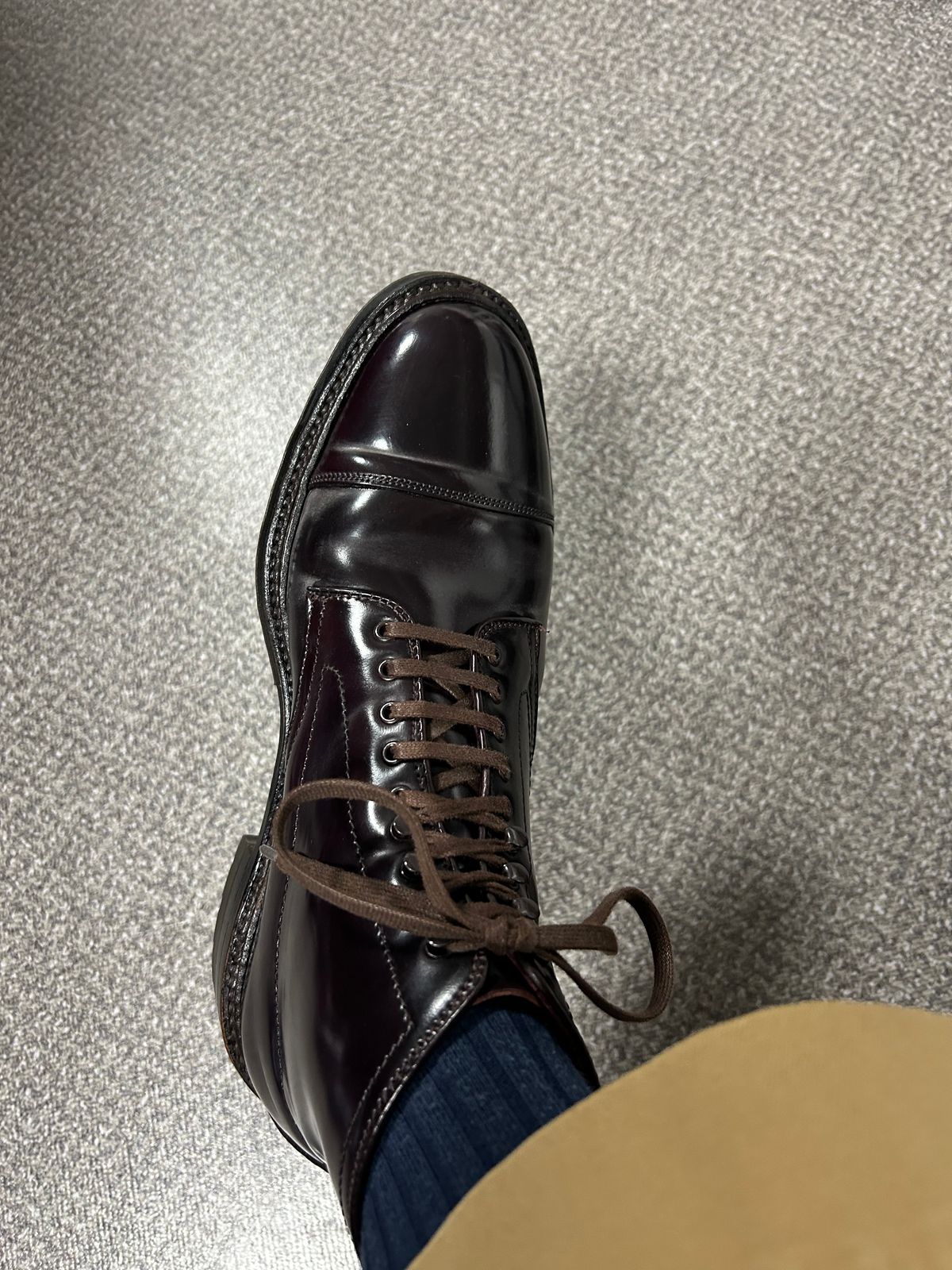 Photo by Patrick_Kwon on November 3, 2025 of the Alden Parajumper Boots in Horween Color 8 Shell Cordovan.