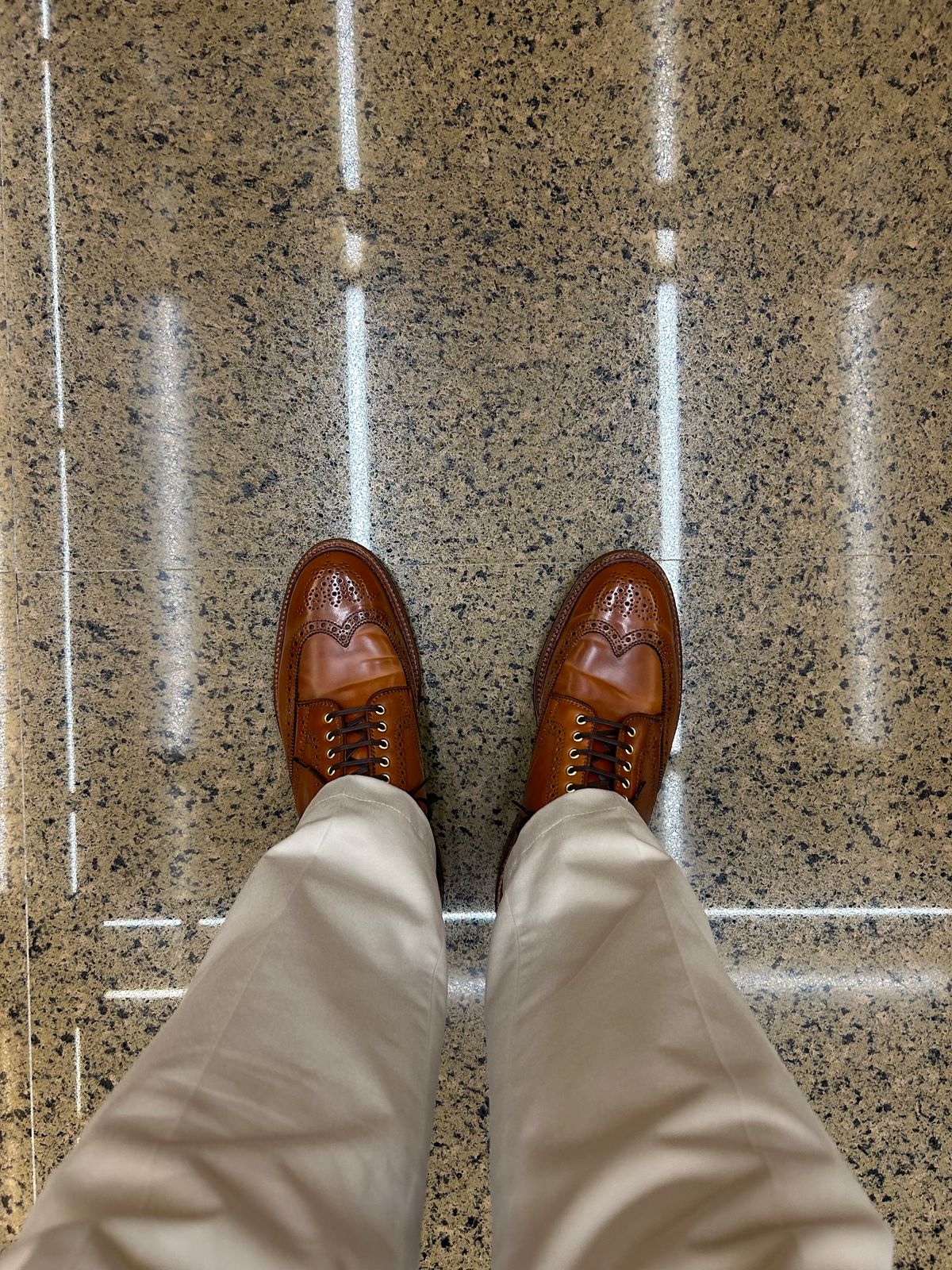 Photo by Patrick_Kwon on September 8, 2024 of the Alden Wingtip Boot in Horween Amaretto Shell Cordovan.
