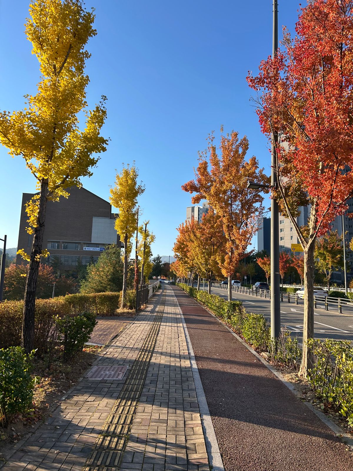 Photo by Patrick_Kwon on November 2, 2025 of the Role Club Boondockers in Horween Dark Cognac Shell Cordovan.