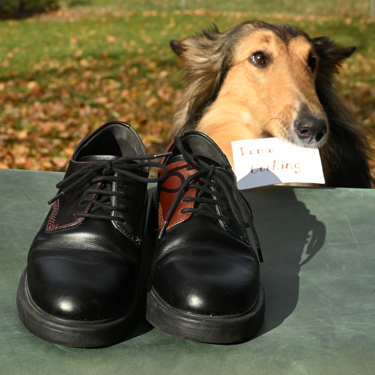 Photo by poppyseed55 on November 2, 2025 of the Camper Twins, multicolor shoes in Calfskin.