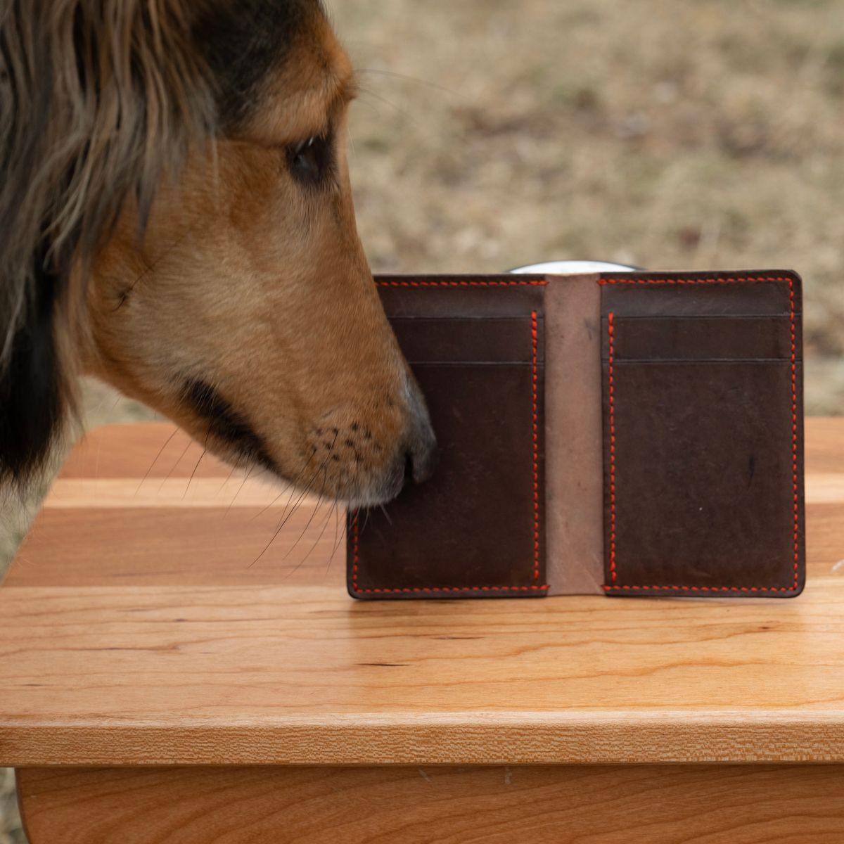 Photo by poppyseed55 on March 5, 2026 of the Self-Made Bifold in Horween Dark Cognac Shell Cordovan & Conceria Walpier Chocolate Buttero.