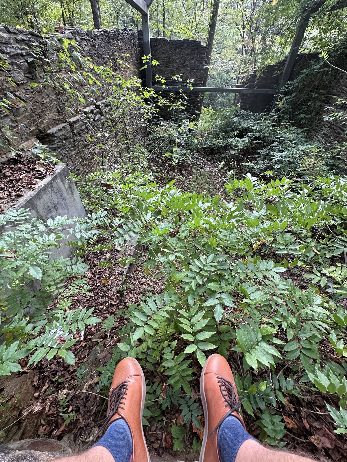 Photo by amac16 on October 3, 2025 of the Crown Northampton Harlestone in Olive Oil Tan Horween Buffalo.