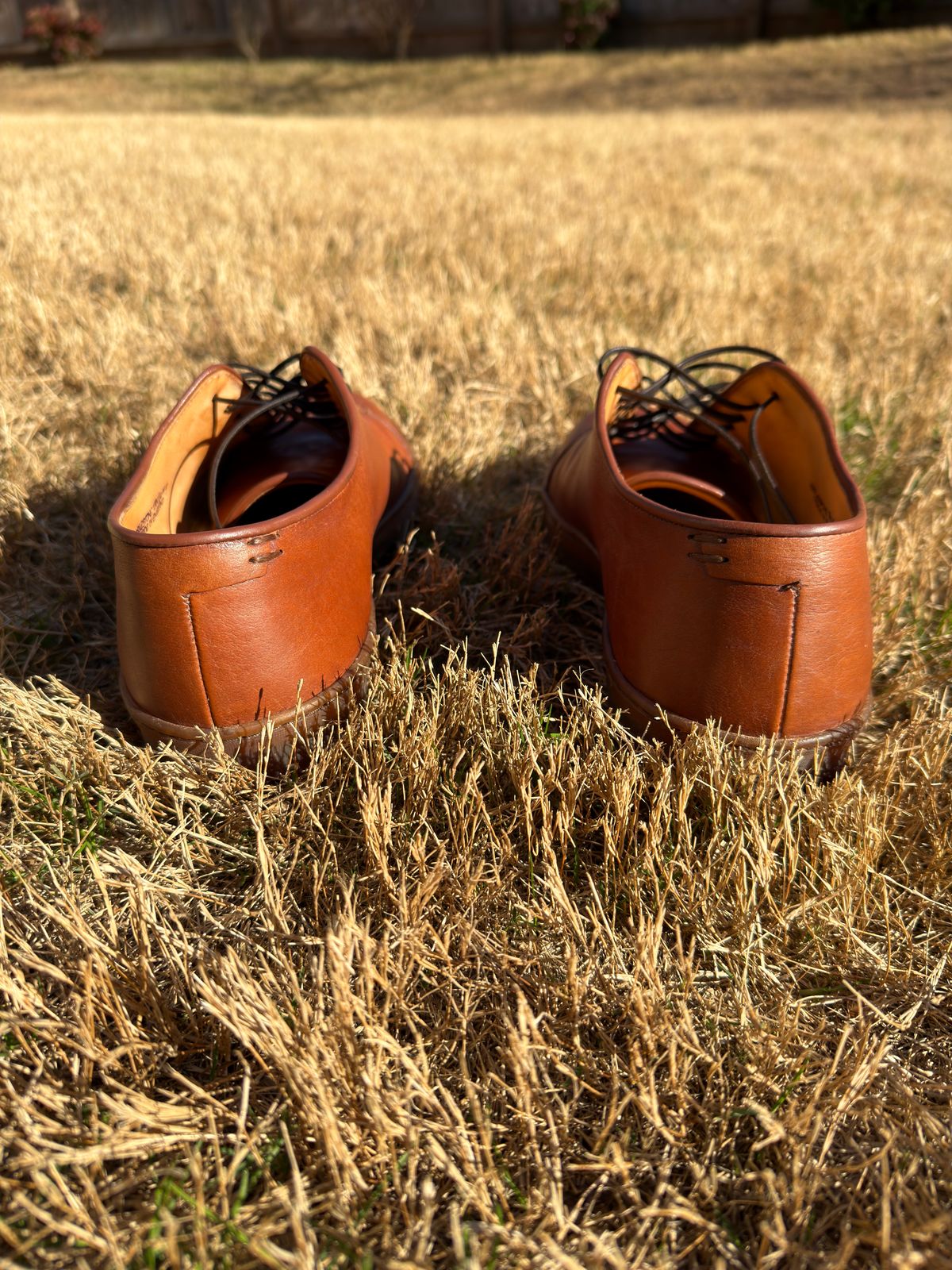 Photo by amac16 on January 4, 2026 of the Crown Northampton Harlestone in Olive Oil Tan Horween Buffalo.