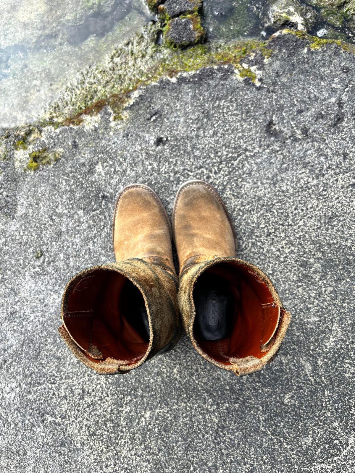 Photo by leafjar77 on March 3, 2025 of the Wesco x Ship John Derroll Boot in Seidel British Tan Domain Roughout.