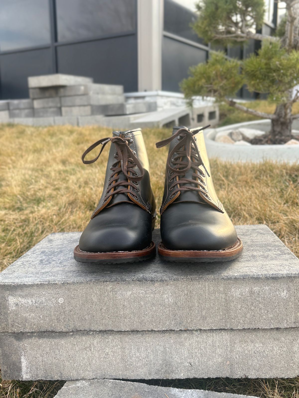 Photo by leafjar77 on March 8, 2026 of the Red Wing Beckman Flatbox in S.B. Foot Black Klondike.