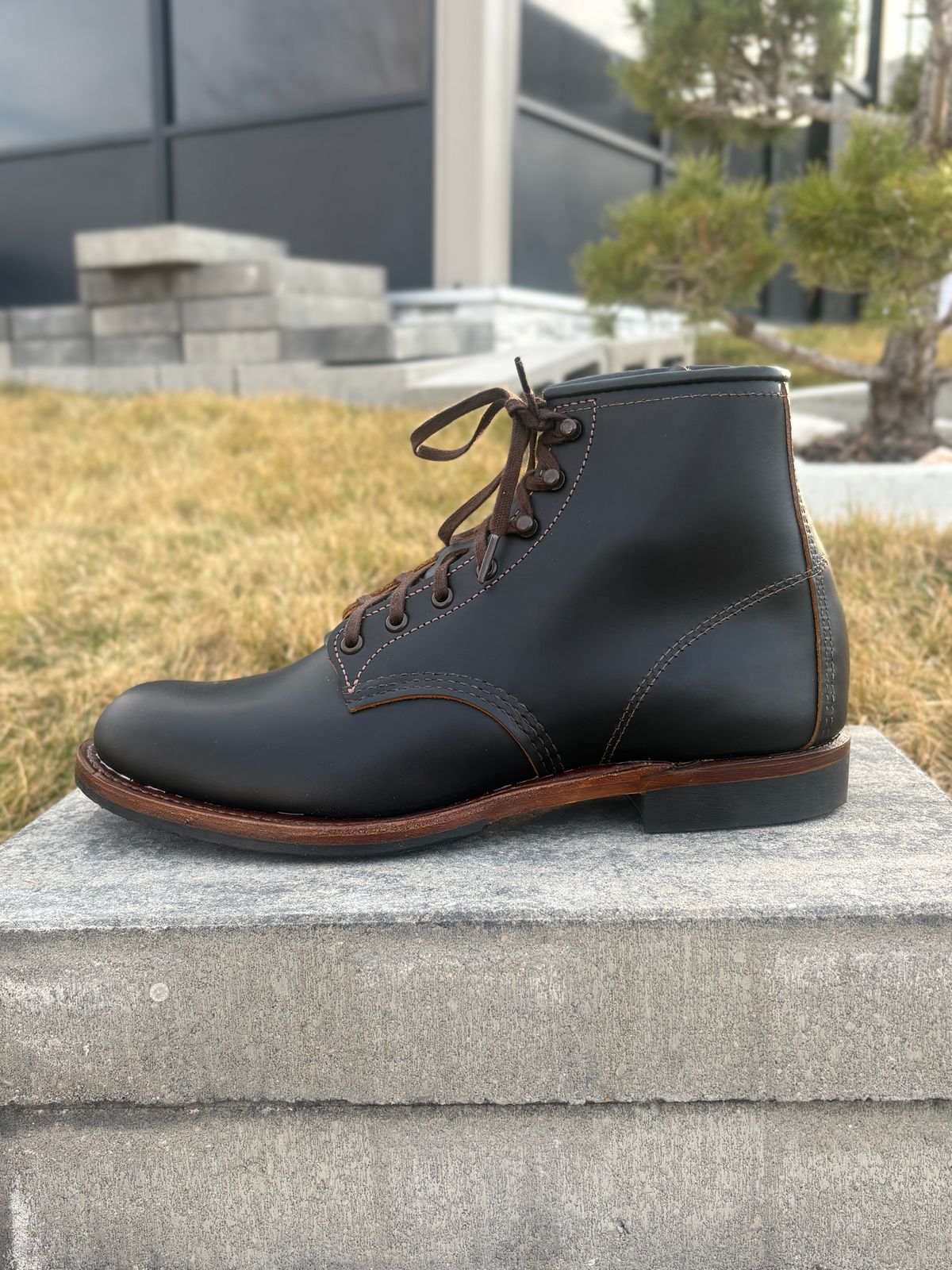 Photo by leafjar77 on March 8, 2026 of the Red Wing Beckman Flatbox in S.B. Foot Black Klondike.