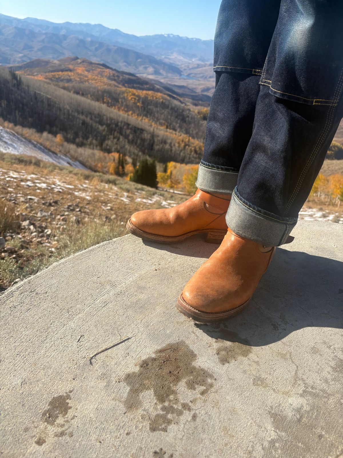 Photo by leafjar77 on October 7, 2025 of the Unsung U 22-2 Engineer Boot in Maryam Natural Rovescio Sego.