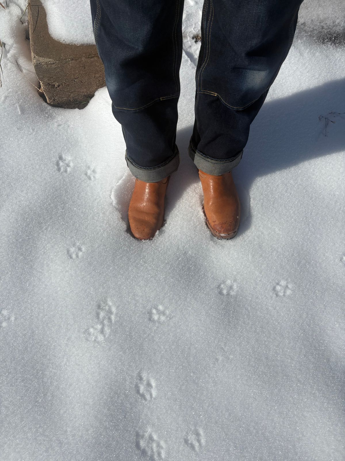 Photo by leafjar77 on October 17, 2025 of the Unsung U 22-2 Engineer Boot in Maryam Natural Rovescio Sego.