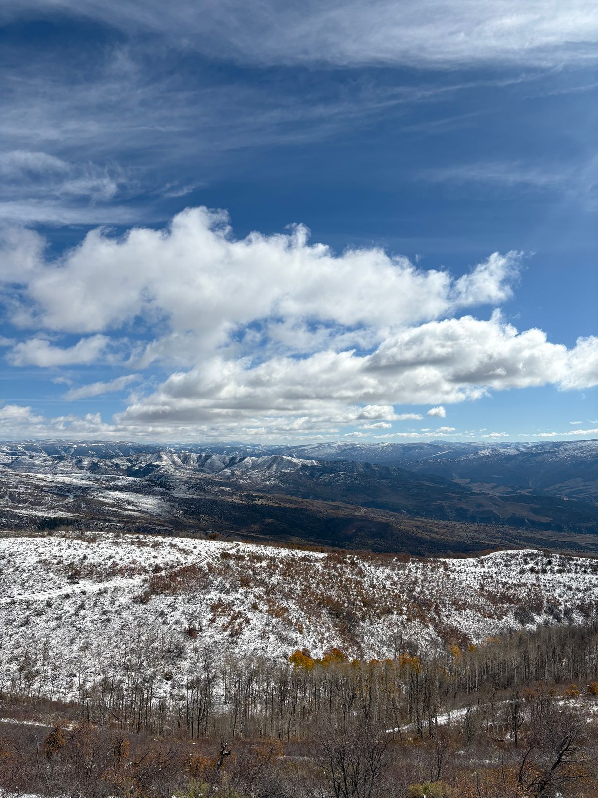 Photo by leafjar77 on October 17, 2025 of the Unsung U 22-2 Engineer Boot in Maryam Natural Rovescio Sego.