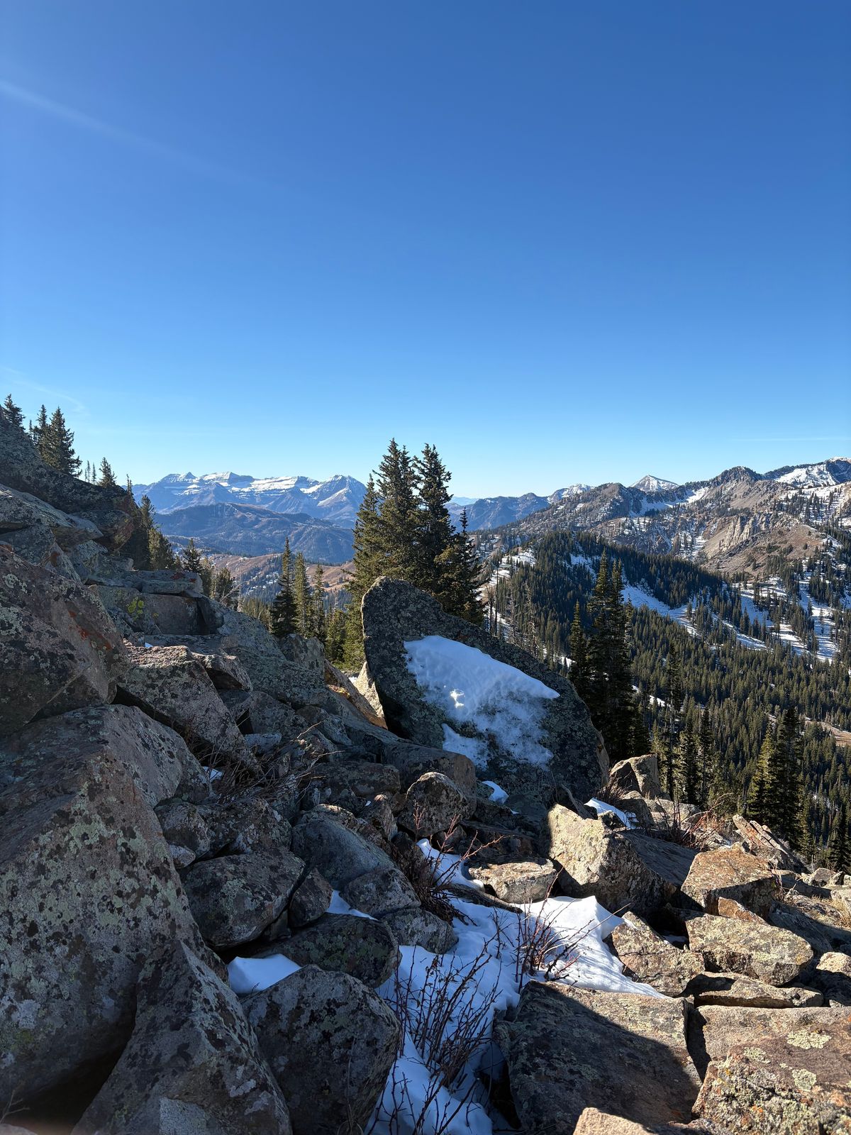 Photo by leafjar77 on October 21, 2025 of the Unsung U 22-2 Engineer Boot in Maryam Natural Rovescio Sego.