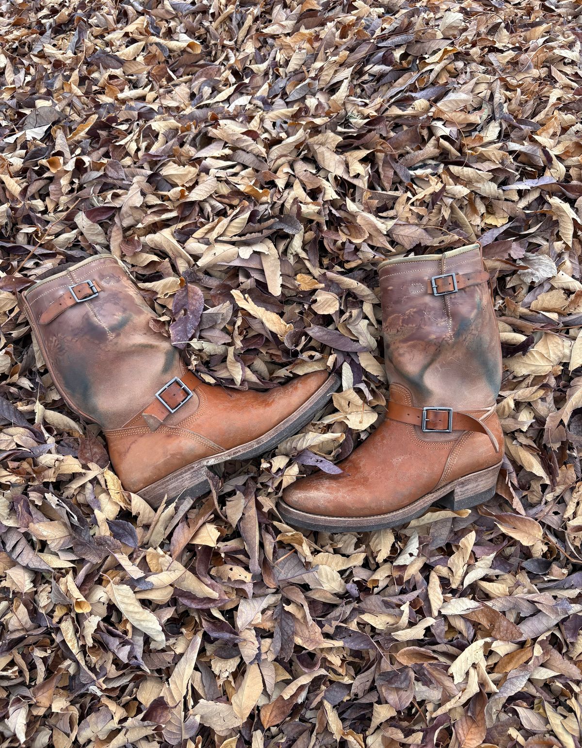 Photo by leafjar77 on November 5, 2025 of the Unsung U 22-2 Engineer Boot in Maryam Natural Rovescio Sego.