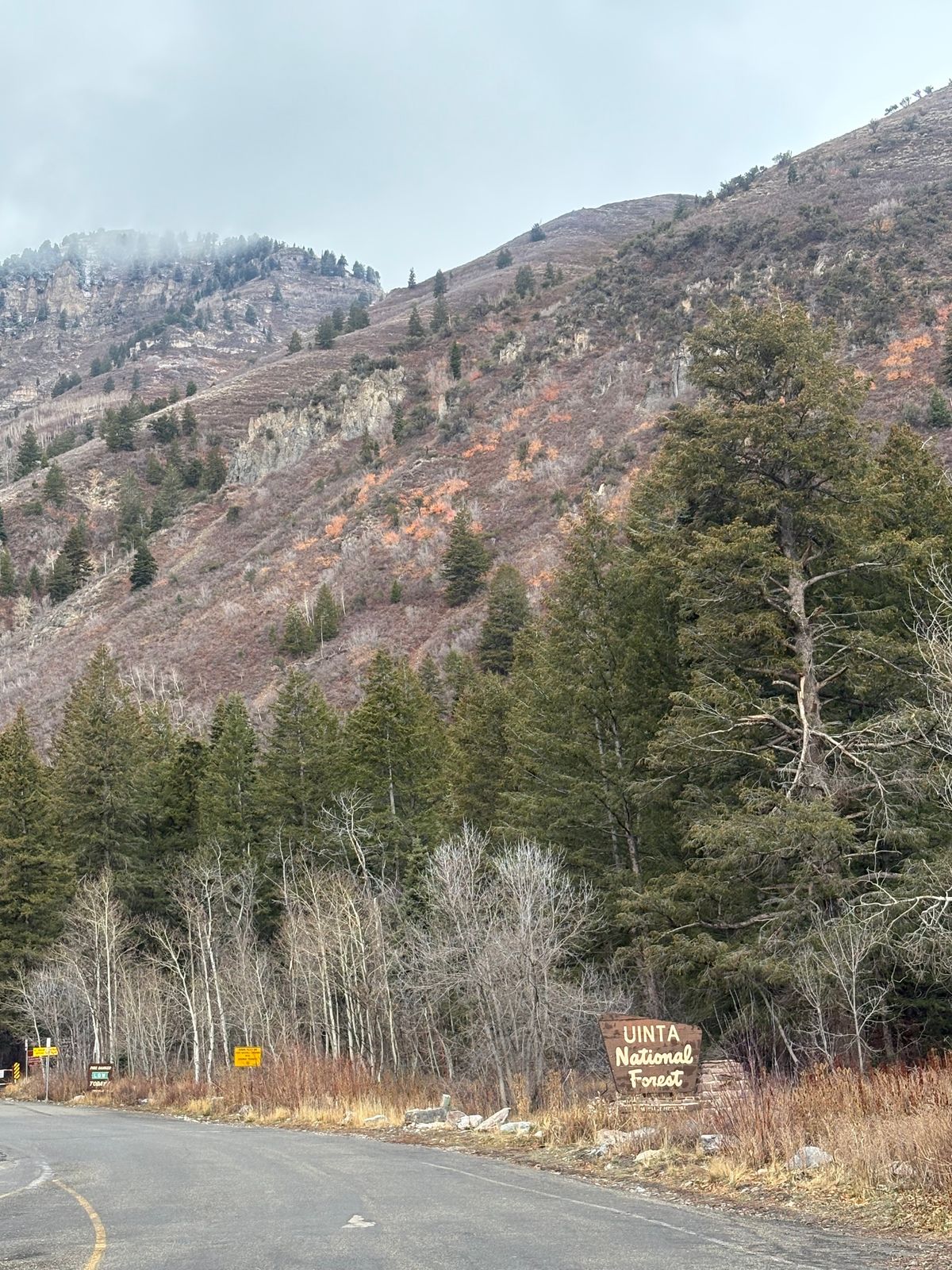 Photo by leafjar77 on November 20, 2025 of the Unsung U 22-2 Engineer Boot in Maryam Natural Rovescio Sego.