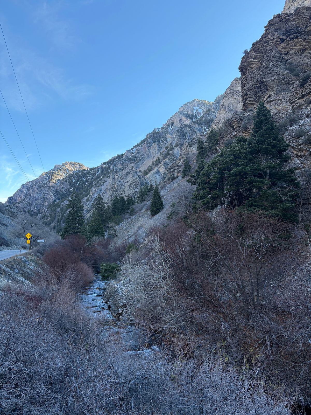 Photo by leafjar77 on December 12, 2025 of the Unsung U 22-2 Engineer Boot in Maryam Natural Rovescio Sego.