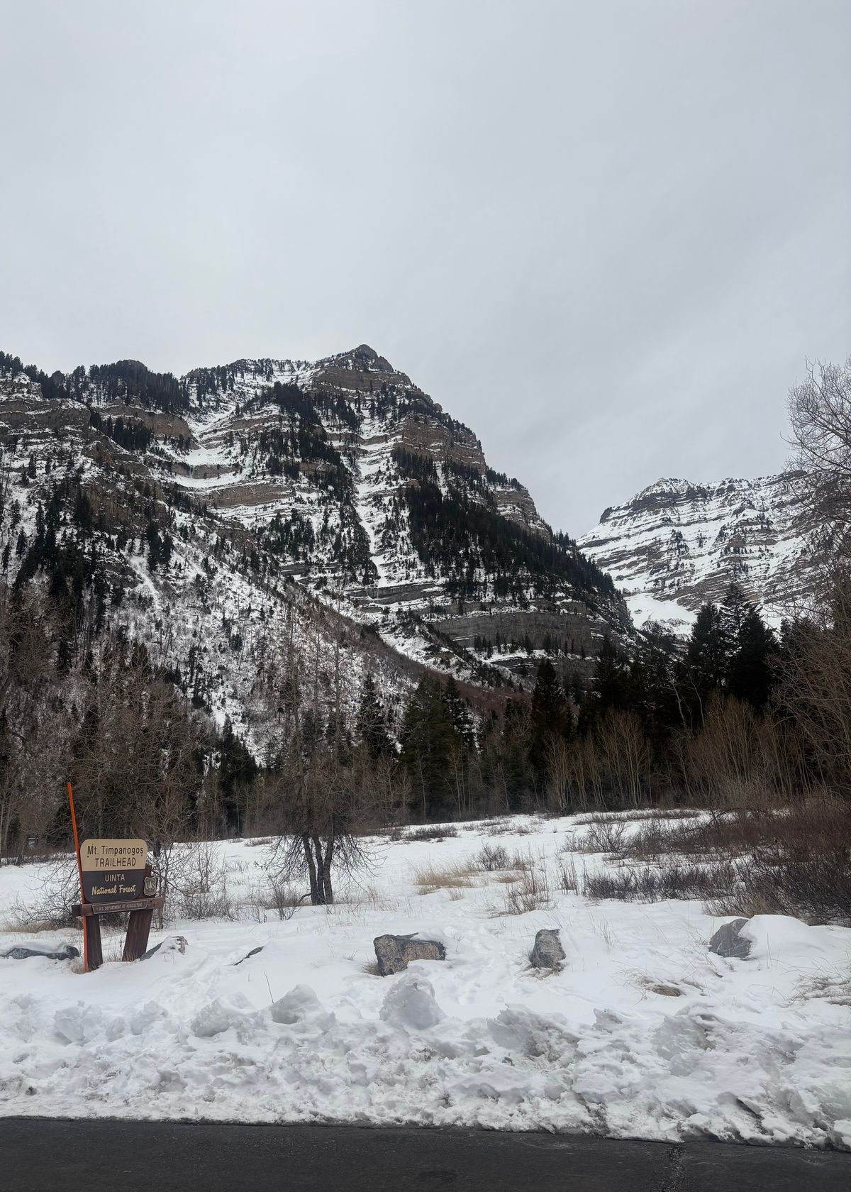 Photo by leafjar77 on January 28, 2026 of the Unsung U 22-2 Engineer Boot in Maryam Natural Rovescio Sego.