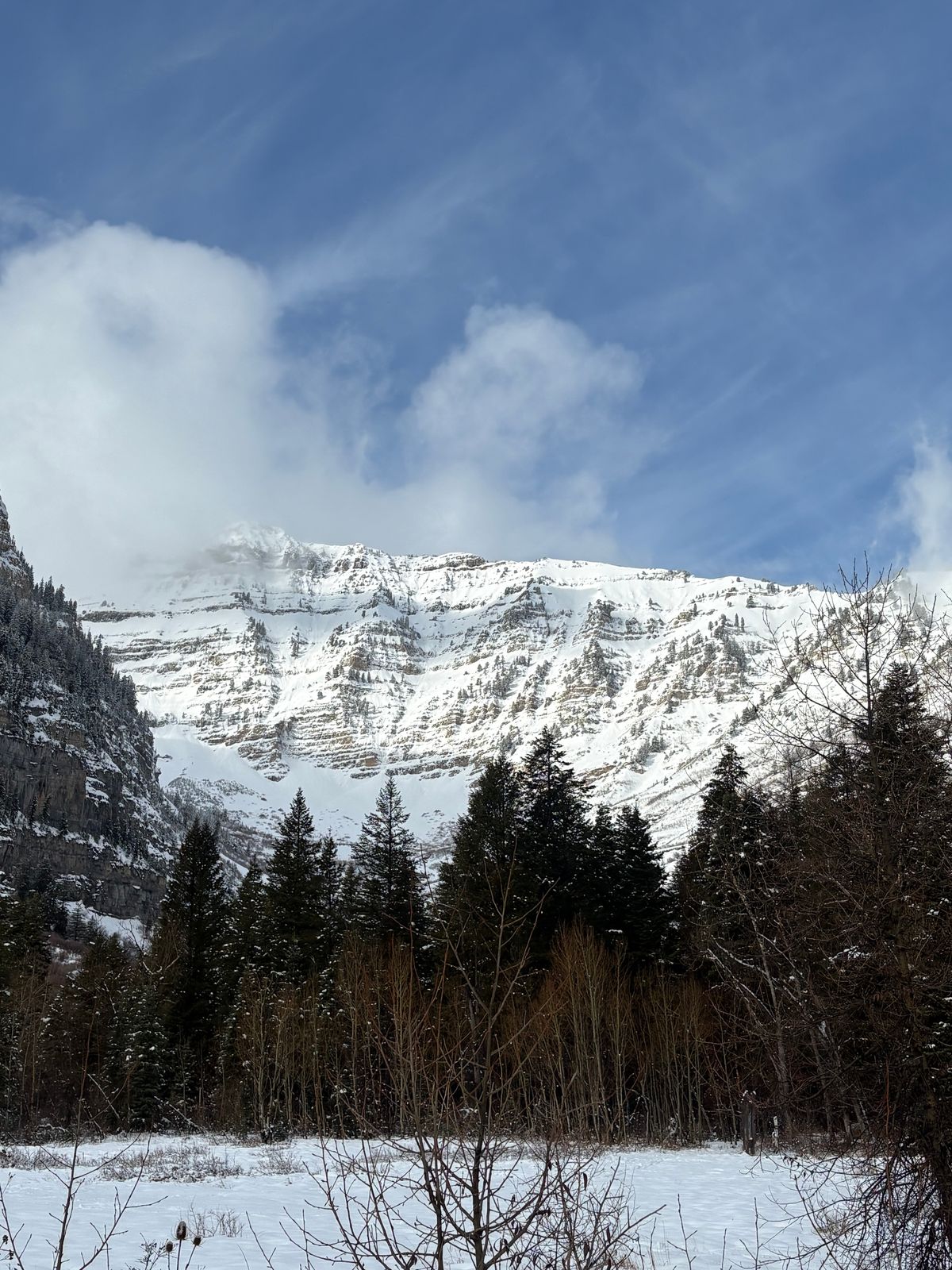 Photo by leafjar77 on February 12, 2026 of the Unsung U 22-2 Engineer Boot in Maryam Natural Rovescio Sego.