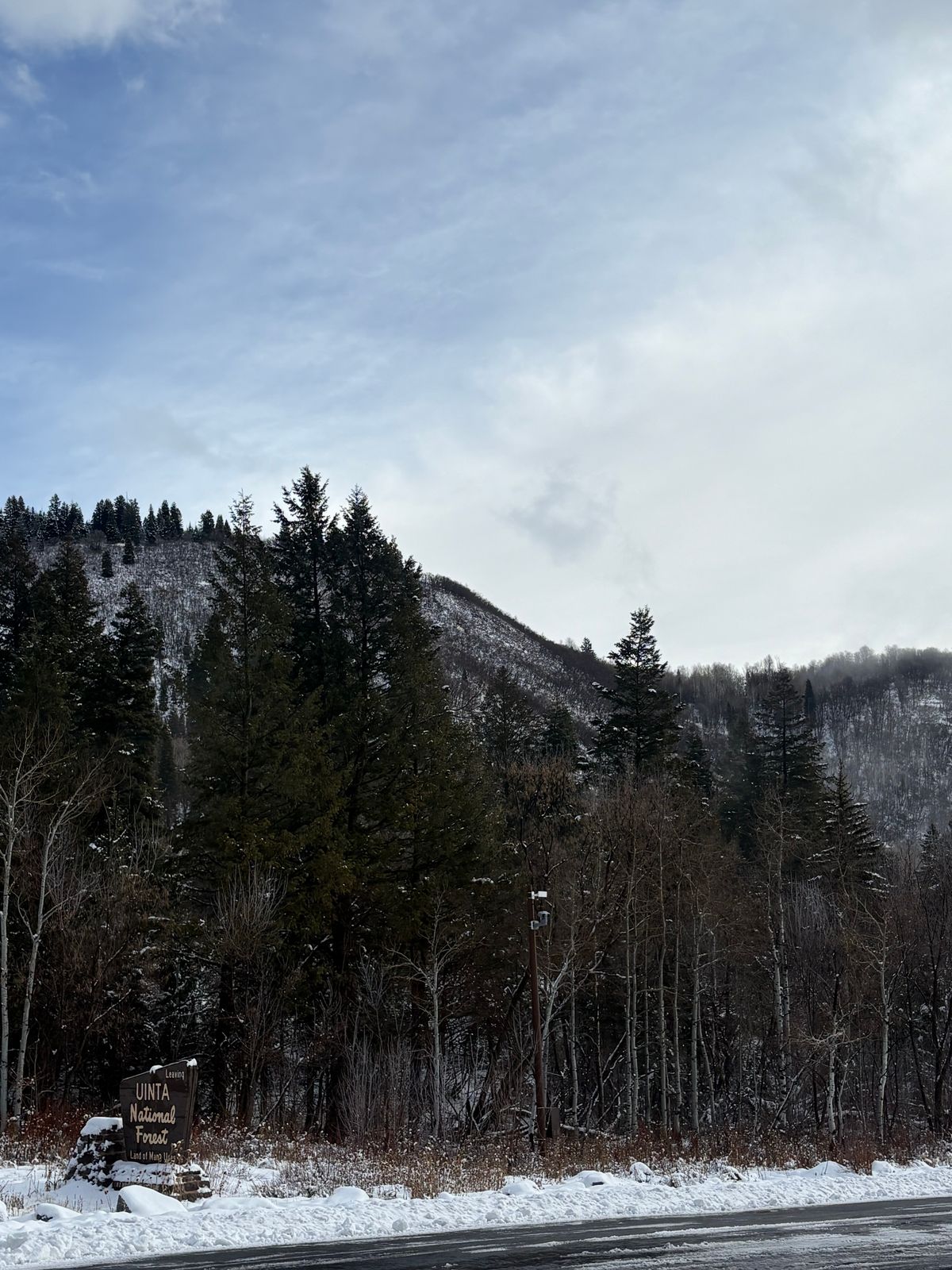 Photo by leafjar77 on February 12, 2026 of the Unsung U 22-2 Engineer Boot in Maryam Natural Rovescio Sego.