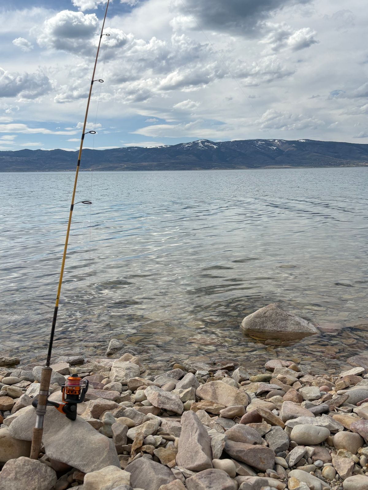 Photo by leafjar77 on April 10, 2026 of the Unsung U 22-2 Engineer Boot in Maryam Natural Rovescio Sego.