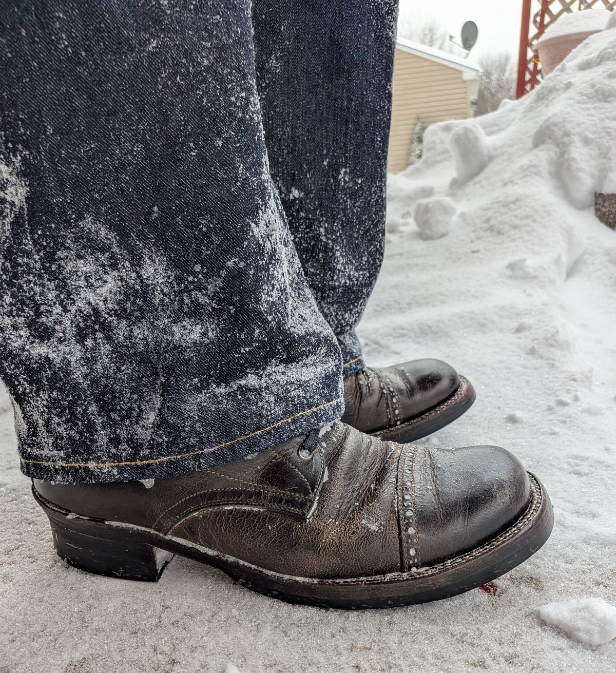 Photo by mari on January 25, 2026 of the Caswell Boot Company Caswell x Fortis Munson in Gallun Charcoal Teton Stag.