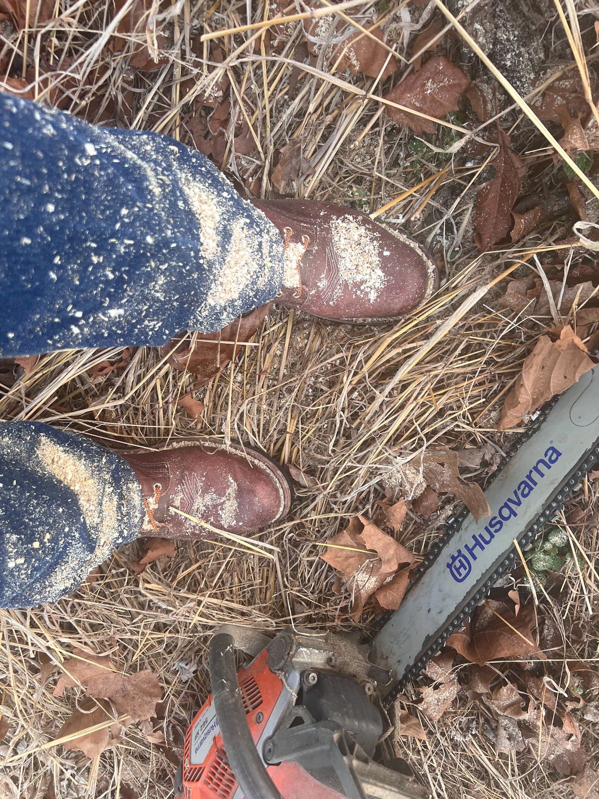 Photo by dieseldoc25 on January 12, 2026 of the Nicks Packer in Horween Timber Roanoke.