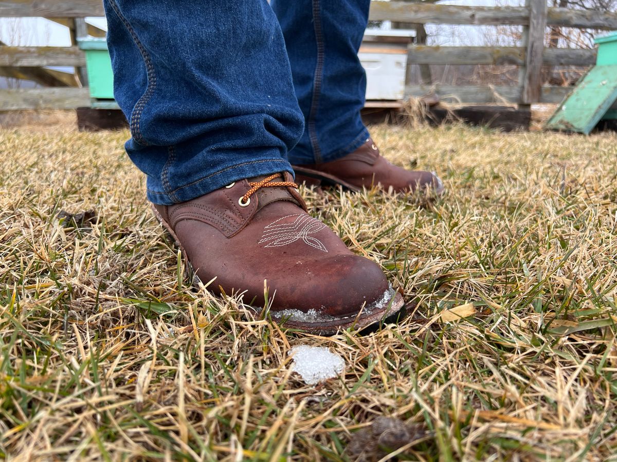 Photo by dieseldoc25 on February 15, 2026 of the Nicks Packer in Horween Timber Roanoke.