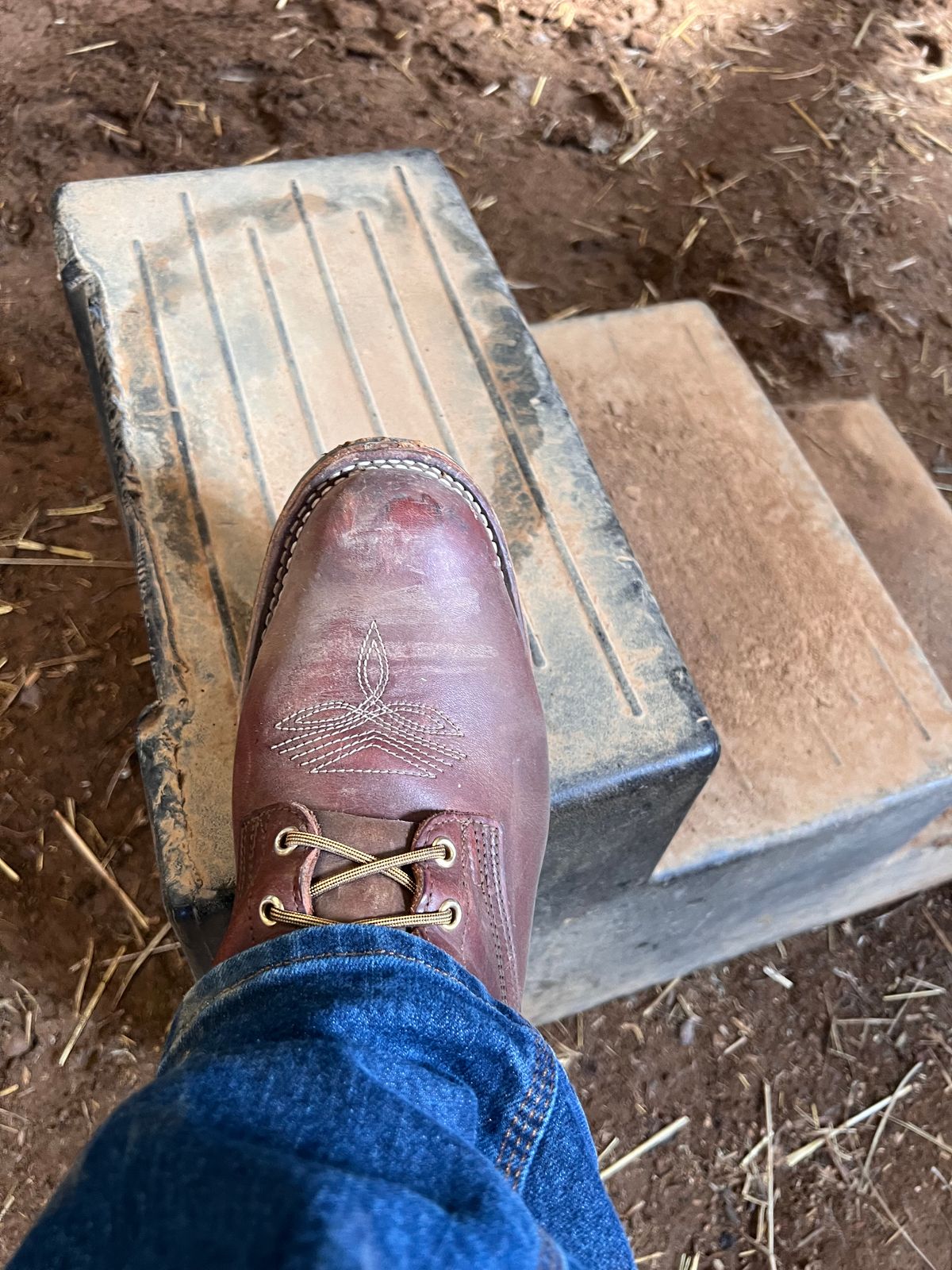 Photo by dieseldoc25 on March 21, 2026 of the Nicks Packer in Horween Timber Roanoke.