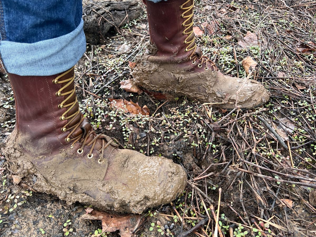 Photo by dieseldoc25 on March 27, 2026 of the Nicks Packer in Horween Timber Roanoke.