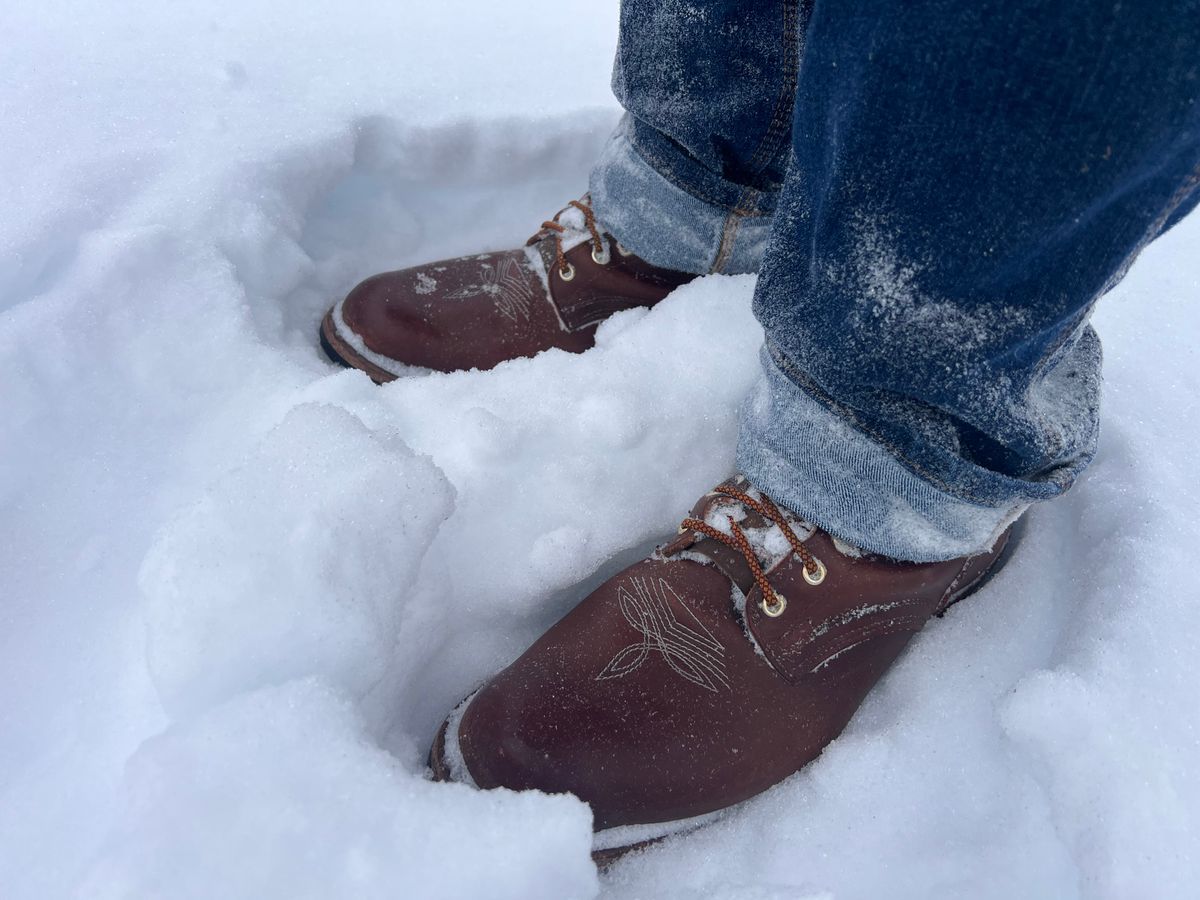 Photo by dieseldoc25 on January 25, 2026 of the Nicks Packer in Horween Timber Roanoke.